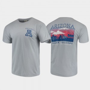 College T-Shirt Comfort Colors U of A Gray Mens Campus Scenery
