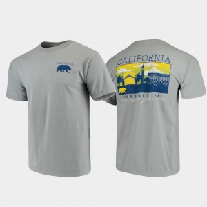 Campus Scenery Comfort Colors California Bears Gray College T-Shirt For Men