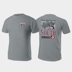 Pride of the South For Men's College T-Shirt Gray FSU Seminoles Comfort Colors