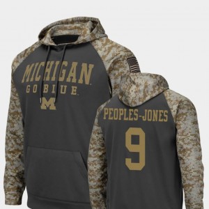 For Men Michigan Wolverines #9 Charcoal Donovan Peoples-Jones College Hoodie United We Stand Colosseum Football