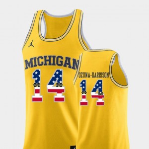 Basketball University of Michigan #14 USA Flag Yellow Rico Ozuna-Harrison College Jersey Men's