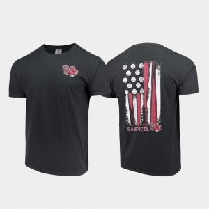 Baseball Flag Mens College T-Shirt SC Black Comfort Colors