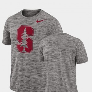 Performance College T-Shirt Men's Charcoal Stanford 2018 Player Travel Legend