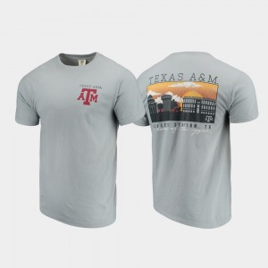 Comfort Colors Men's College T-Shirt Gray A&M Campus Scenery