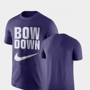 UW Huskies Men's College T-Shirt Legend Franchise Performance Purple