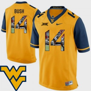 Tevin Bush College Jersey Pictorial Fashion For Men's WV Gold #14 Football