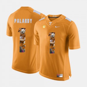 Pictorial Fashion #1 Michael Palardy College Jersey For Men Orange UT