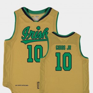 Replica For Kids Basketball Special Games Gold #10 Irish TJ Gibbs Jr. College Jersey